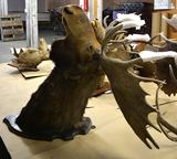 Click for more details.